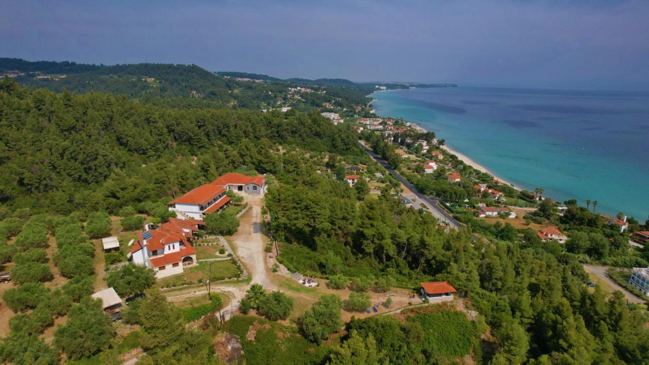 Peristeridi Polychrono