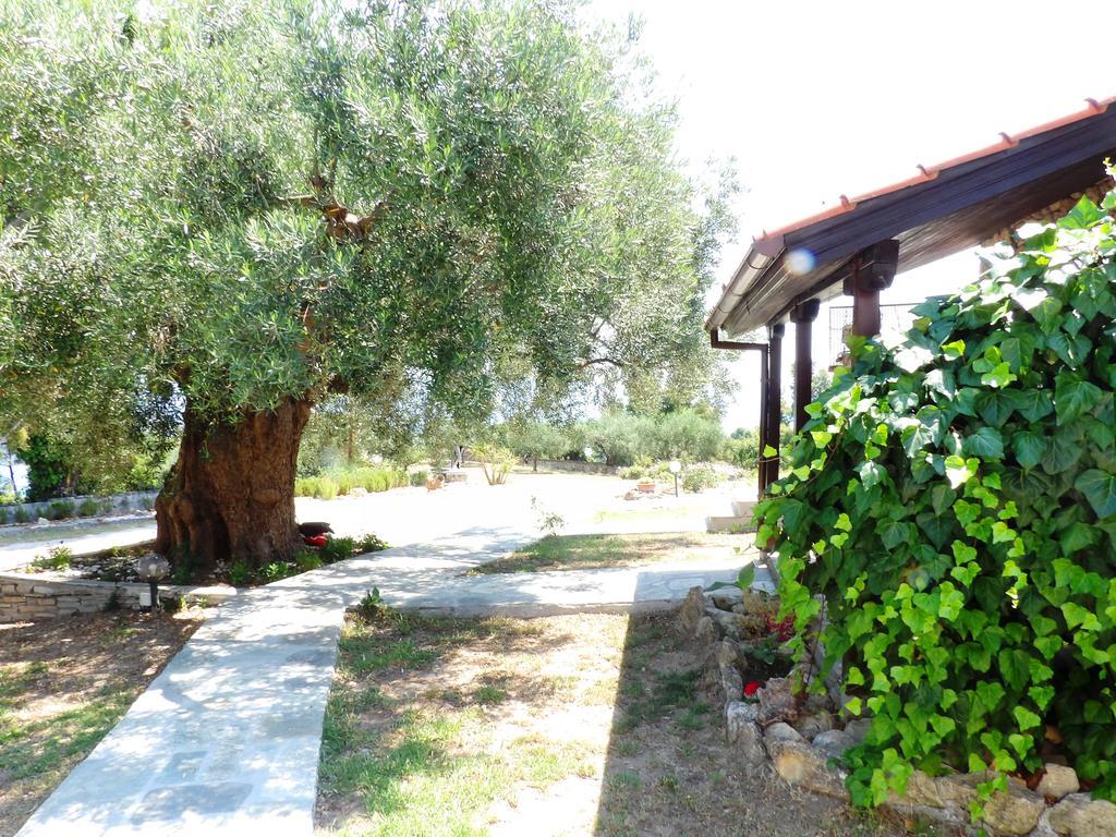 Apartment Peristeridi Polychrono