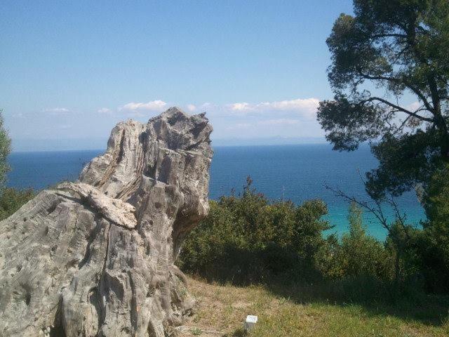 Apartament Peristeridi Polychrono