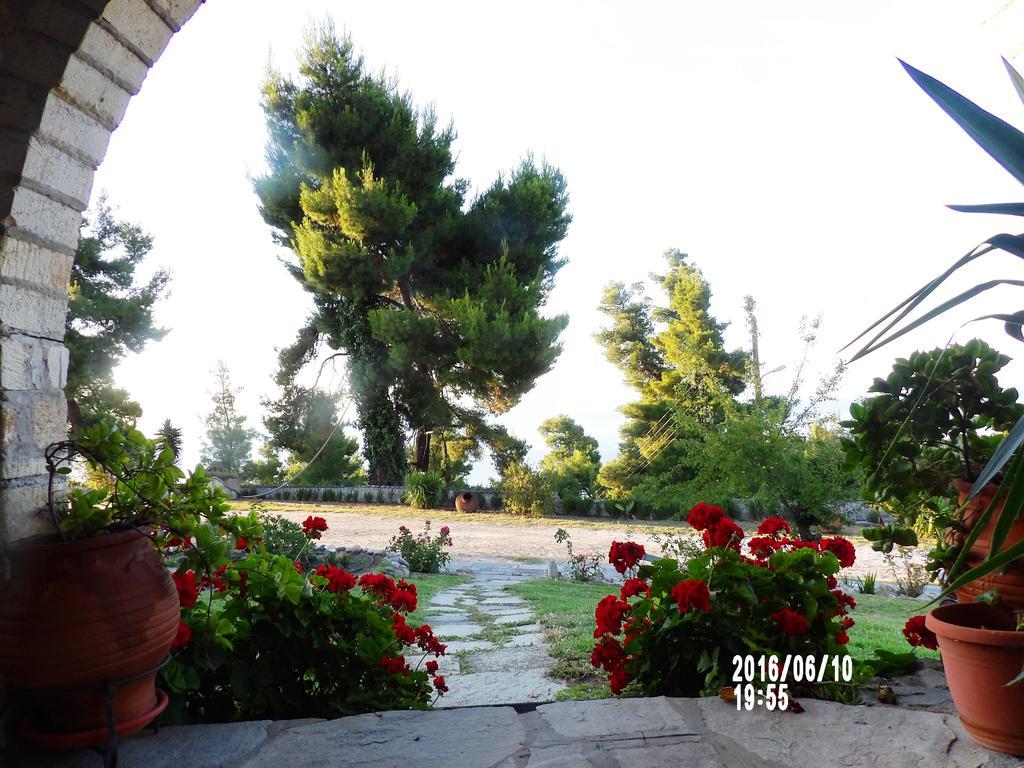 Apartament Peristeridi Polychrono